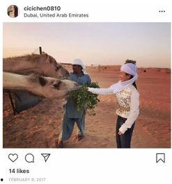 吃瓜小三音乐,音乐中的爱情纠葛与时代变迁